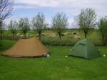Kamperen midden in het Friese land
